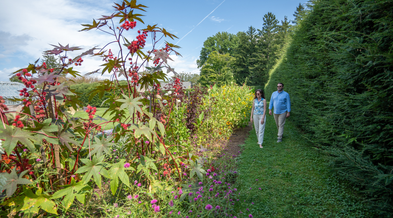 Couple walks past blooming flowers across a well-groomed garden lawn